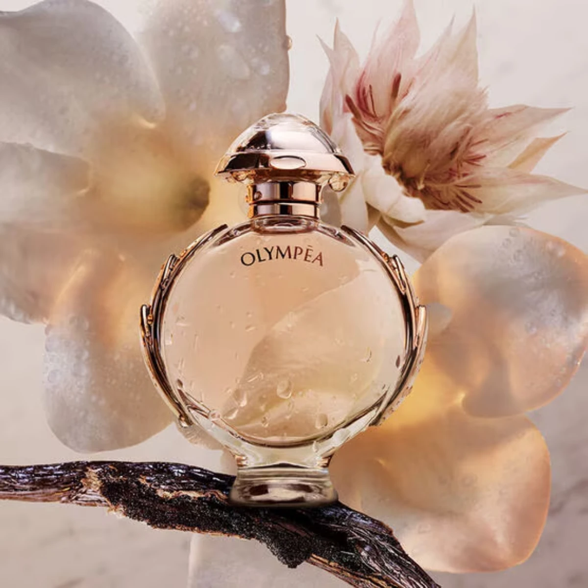 Olympea zwischen Blumen