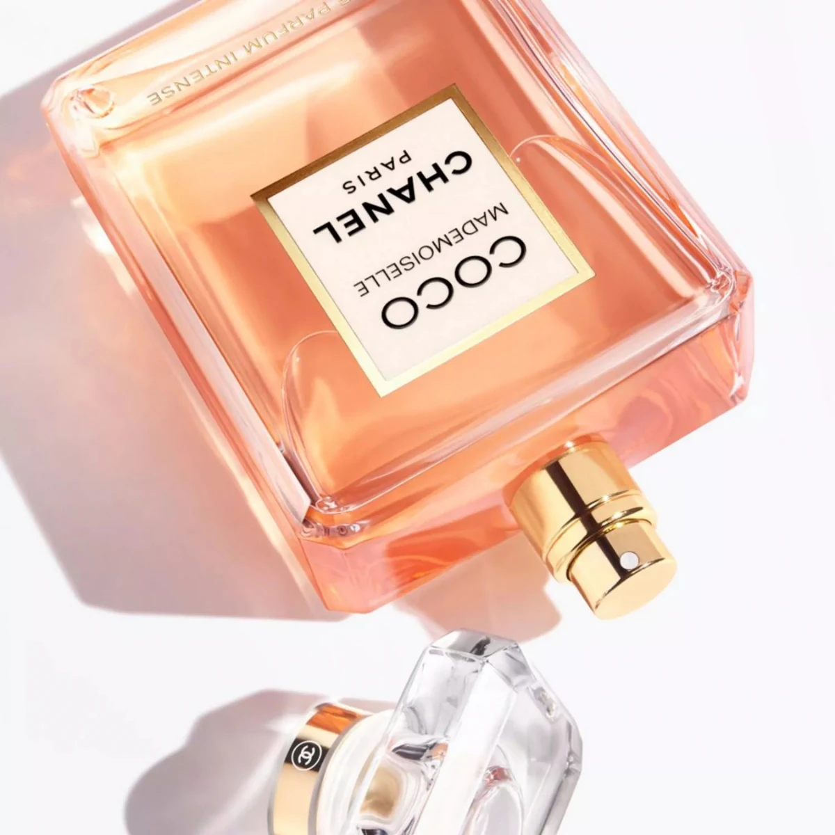 Coco Mademoiselle in Nahaufnahme