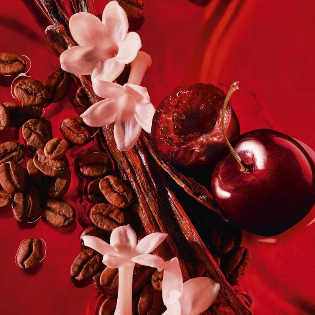 Black Opium Over Red mit seinen Duftnoten