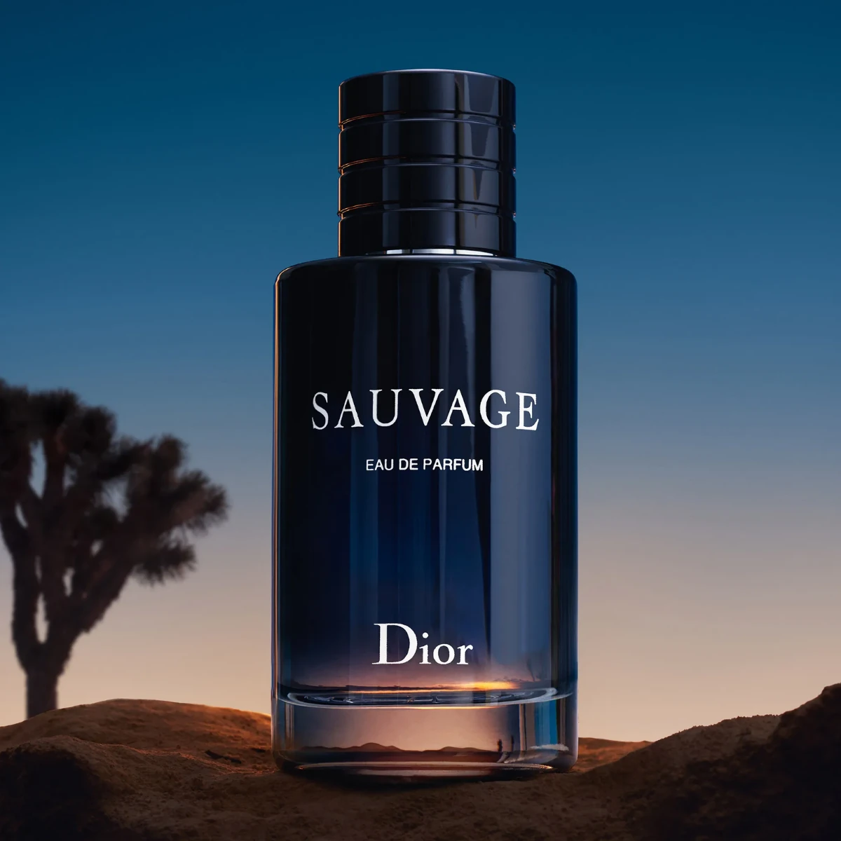 Sauvage de Dior ante un cielo desértico